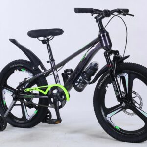 Double Gear Cycle